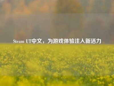 Steam UT中文，为游戏体验注入新活力