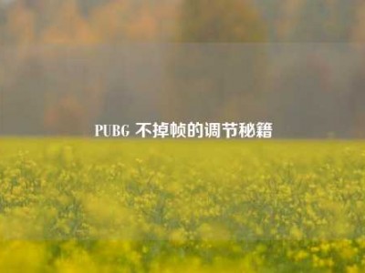 PUBG 不掉帧的调节秘籍