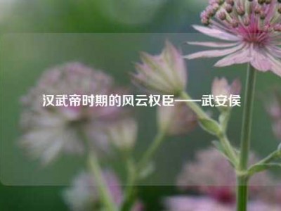 汉武帝时期的风云权臣——武安侯