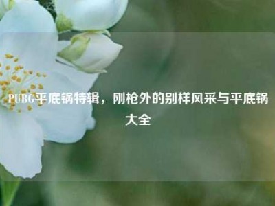 PUBG平底锅特辑，刚枪外的别样风采与平底锅大全