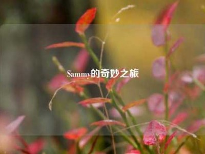 Sammy的奇妙之旅