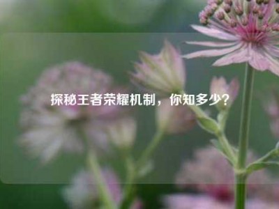 探秘王者荣耀机制，你知多少？