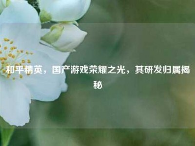 和平精英，国产游戏荣耀之光，其研发归属揭秘