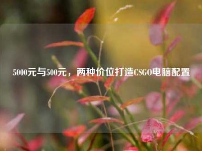 5000元与500元，两种价位打造CSGO电脑配置