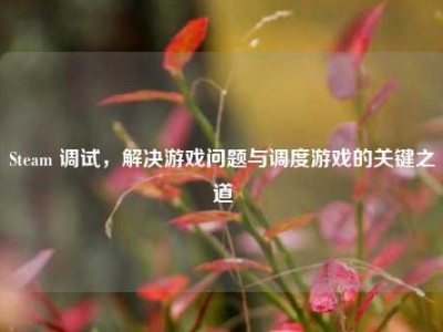 Steam 调试，解决游戏问题与调度游戏的关键之道