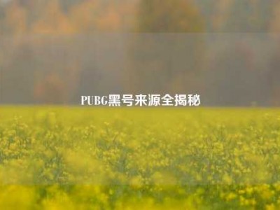 PUBG黑号来源全揭秘