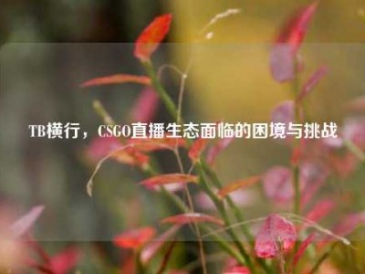 TB横行，CSGO直播生态面临的困境与挑战