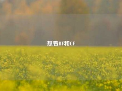 想看BF和CF