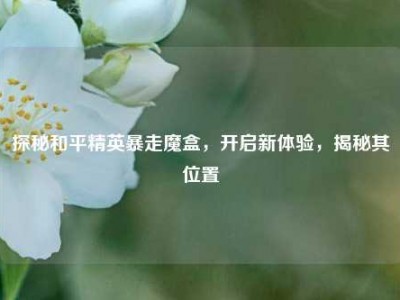 探秘和平精英暴走魔盒，开启新体验，揭秘其位置