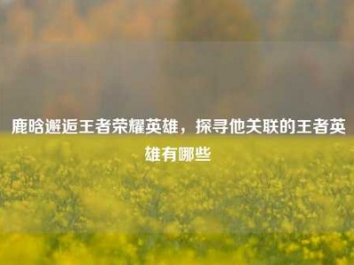 鹿晗邂逅王者荣耀英雄，探寻他关联的王者英雄有哪些