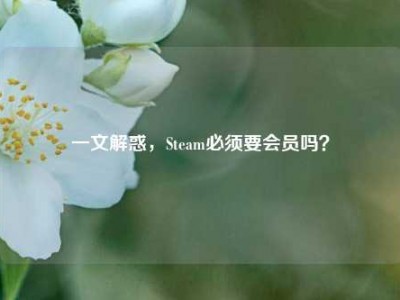 一文解惑，Steam必须要会员吗？