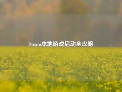 Steam本地游戏启动全攻略