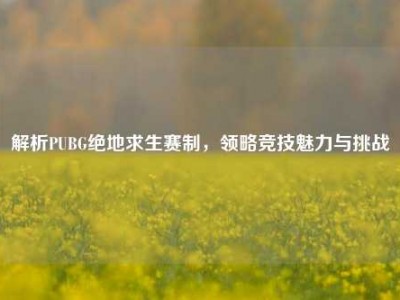 解析PUBG绝地求生赛制，领略竞技魅力与挑战
