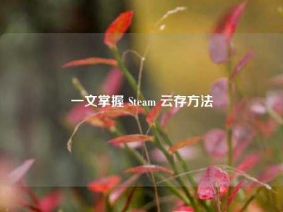一文掌握 Steam 云存方法