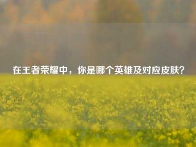 在王者荣耀中，你是哪个英雄及对应皮肤？