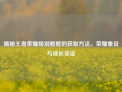 揭秘王者荣耀级别框框的获取方法，荣耀象征与成长见证