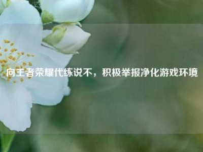 向王者荣耀代练说不，积极举报净化游戏环境