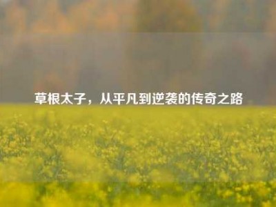 草根太子，从平凡到逆袭的传奇之路