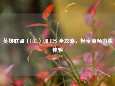 英雄联盟（LOL）调 FPS 全攻略，畅享流畅游戏体验