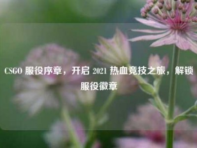 CSGO 服役序章，开启 2021 热血竞技之旅，解锁服役徽章