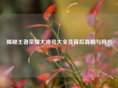 揭秘王者荣耀大神号大全及背后真相与网名