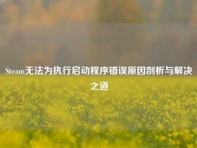 Steam无法为执行启动程序错误原因剖析与解决之道