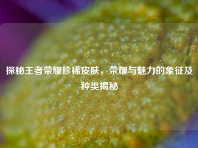 探秘王者荣耀珍稀皮肤，荣耀与魅力的象征及种类揭秘