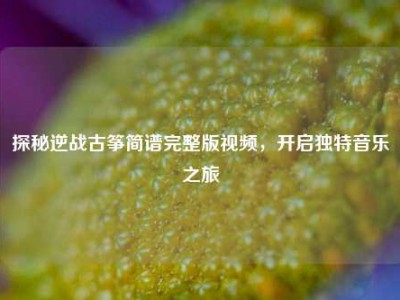 探秘逆战古筝简谱完整版视频，开启独特音乐之旅