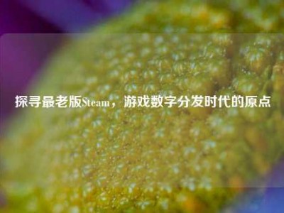 探寻最老版Steam，游戏数字分发时代的原点