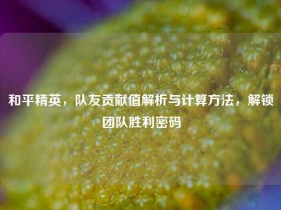 和平精英，队友贡献值解析与计算方法，解锁团队胜利密码