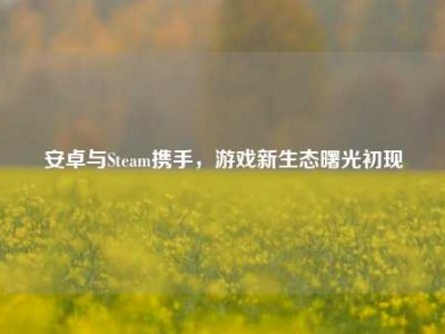 安卓与Steam携手，游戏新生态曙光初现