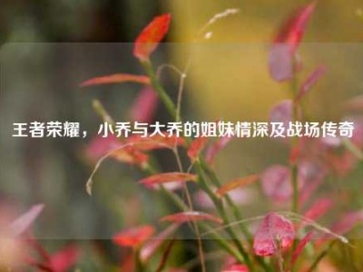王者荣耀，小乔与大乔的姐妹情深及战场传奇