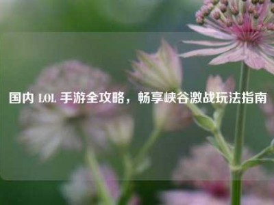 国内 LOL 手游全攻略，畅享峡谷激战玩法指南