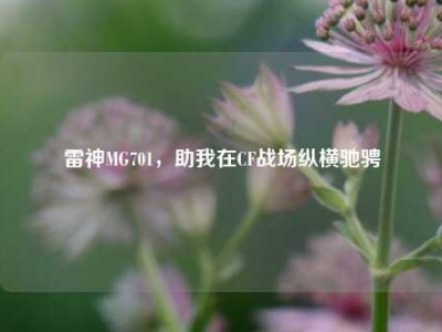雷神MG701，助我在CF战场纵横驰骋