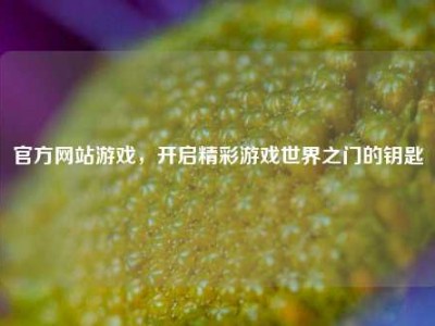 官方网站游戏，开启精彩游戏世界之门的钥匙