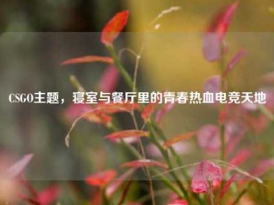 CSGO主题，寝室与餐厅里的青春热血电竞天地