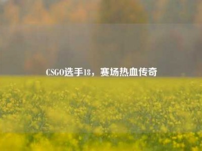 CSGO选手18，赛场热血传奇