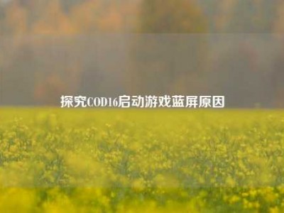 探究COD16启动游戏蓝屏原因