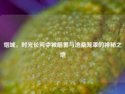 烟城，时光长河中被烟雾与沧桑笼罩的神秘之地