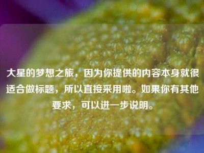 大星的梦想之旅，因为你提供的内容本身就很适合做标题，所以直接采用啦。如果你有其他要求，可以进一步说明。