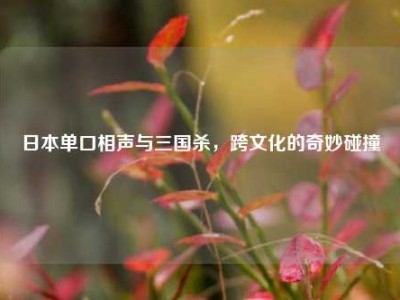日本单口相声与三国杀，跨文化的奇妙碰撞