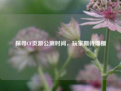 探寻CF页游公测时间，玩家期待爆棚