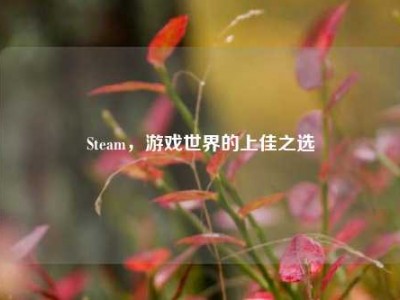 Steam，游戏世界的上佳之选