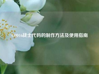 COD16战士代码的制作方法及使用指南