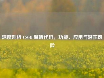 深度剖析 CSGO 监听代码，功能、应用与潜在风险