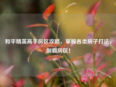 和平精英高手房区攻略，掌握各类房子打法，制霸房区！
