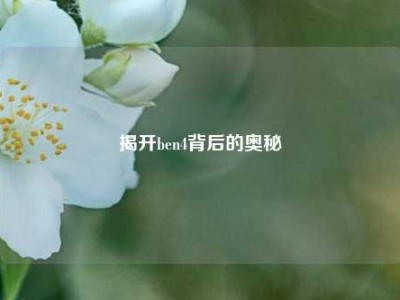 揭开ben4背后的奥秘