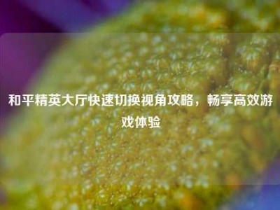 和平精英大厅快速切换视角攻略，畅享高效游戏体验