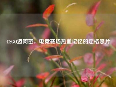 CSGO迈阿密，电竞赛场热血记忆的定格照片