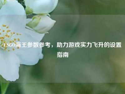 CSGO海王参数参考，助力游戏实力飞升的设置指南